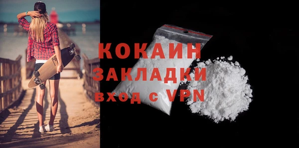 шишки Киров