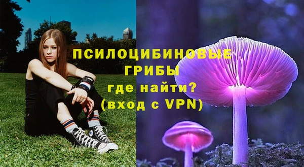 шишки Киров