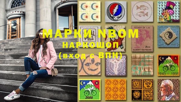 шишки Киров
