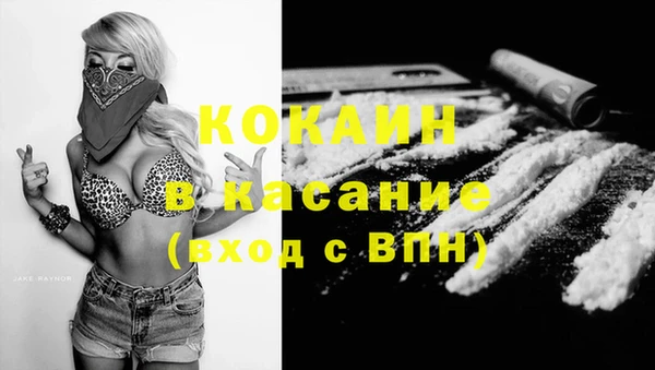 шишки Киров