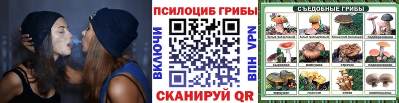 где купить   Дмитриев  Псилоцибиновые грибы прущие грибы 